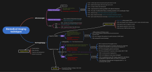 Biomedical Imaging Techniques: Microscopy, MRI, CT, PET Overview
