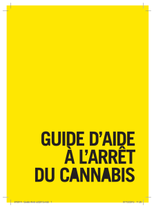 Guide d'aide à l'arrêt du cannabis