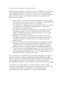 El Ciclo del Agua: Explicación Detallada