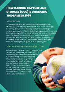 Carbon Capture & Storage (CCS) in 2025: A Game Changer