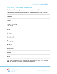 Adaptive Immune System Worksheet: Vocabulary & Questions