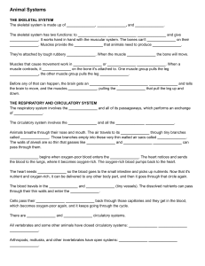 Animal Systems Worksheet: Skeletal, Respiratory, More