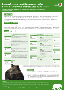 Brown Bear Locomotion & Mobility Assessment Tool