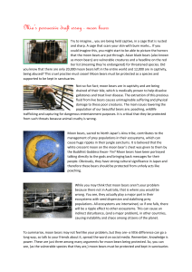 Moon Bear Protection: A Persuasive Essay