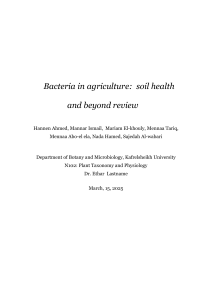 Bacteria in Agriculture: Soil Health Review