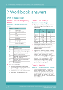 Science Workbook Answers: Respiration & Materials - Grade 8