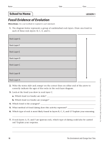 Fossil Evidence of Evolution Worksheet