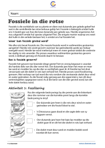 Fossielen Werkblad: Vorming, Paleontologie en Activiteiten