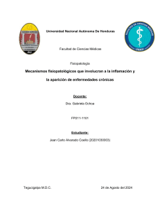 Inflamación y Enfermedades Crónicas: Mecanismos Fisiopatológicos