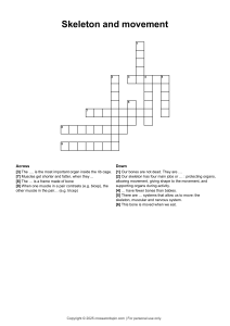 Skeleton and Movement Crossword Puzzle