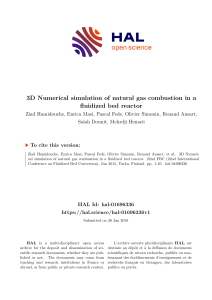 Natural Gas Combustion in Fluidized Bed Reactor Simulation