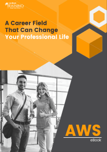 AWS Career