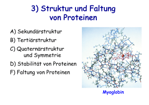 Proteinstruktur und Faltung: Biochemie-Präsentation