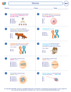 Meiosis Worksheet: Cell Division & Genetics