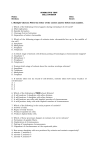 Cell Division Summative Test: Mitosis & Meiosis