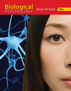 Biological Psychology Textbook by James W. Kalat, 13th Edition