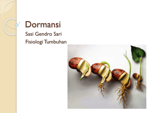 Plant Dormancy: Physiology, Germination & Environmental Factors