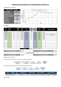 Cyanidation Bottle Test: Metallurgy Report