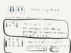 Linear Algebra: Matrix Rank Solution