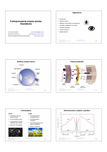 Wzrok i oświetlenie: Prezentacja z ergonomii