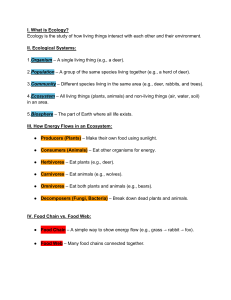 Ecology Study Guide: Ecosystems, Food Webs, and Cycles