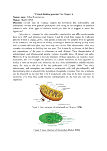 Mitochondria & Chloroplast Evolution: Endosymbiotic Theory