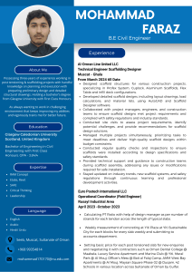 Mohammad Faraz - Civil Engineer Resume