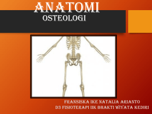 Presentasi Osteologi: Anatomi Sistem Kerangka