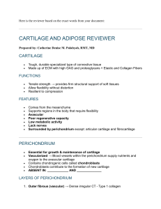 Cartilage & Adipose Tissue Review: Structure, Function, Types