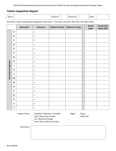 Totem Inspection Report - Manufacturing Quality Control