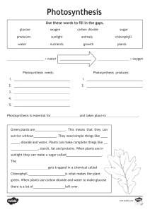 Photosynthesis Worksheet: Fill in the Gaps