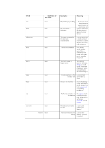 Vocabulary Table: Definitions, Examples, Meanings