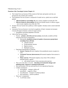 Neurologic System Function: Study Notes & Exam Prep