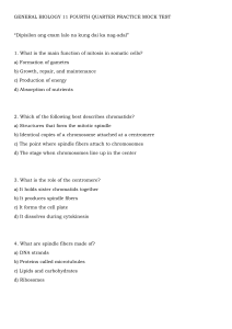 General Biology 11 Mitosis & Meiosis Practice Test