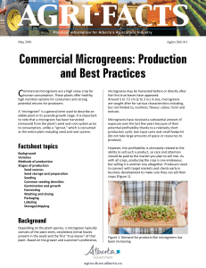 Microgreen Production: Best Practices & Commercial Guide