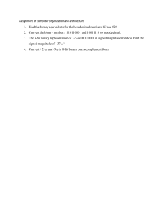 Computer Architecture Assignment: Number Conversions