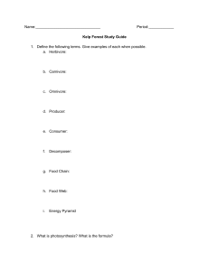 Kelp Forest Ecology Study Guide: Food Webs & Photosynthesis