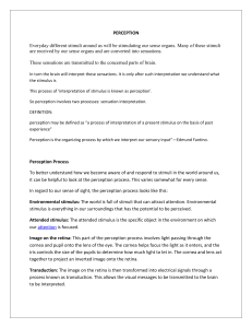 Perception: Definition, Process, and Influencing Factors