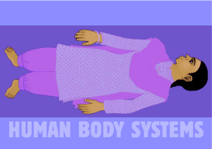 human-body-systems