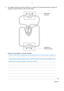 Mammalian Circulation Exam Questions