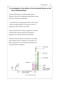 Photosynthesis Experiment Guide: Environmental Factors