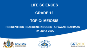 Meiosis: Grade 12 Life Sciences Presentation