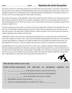 Arctic Ecosystem Worksheet: Food Web & Organisms