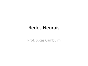 Redes Neurais: Introdução e Aplicações