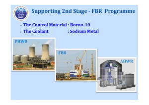FBR Program Support: Boron-10 & Sodium Coolant