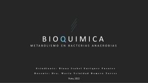 Metabolismo de Bacterias Anaeróbicas: Presentación de Bioquímica