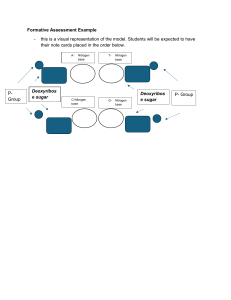 DNA Structure Formative Assessment Example