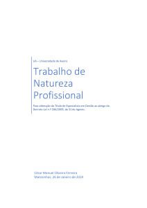 Análise de Gestão do CINDOR: Trabalho Profissional