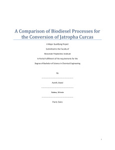 Biodiesel Processes Comparison: Jatropha Curcas Conversion
