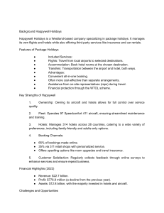 Happywell Holidays & Mangusair Analysis: Financial Report